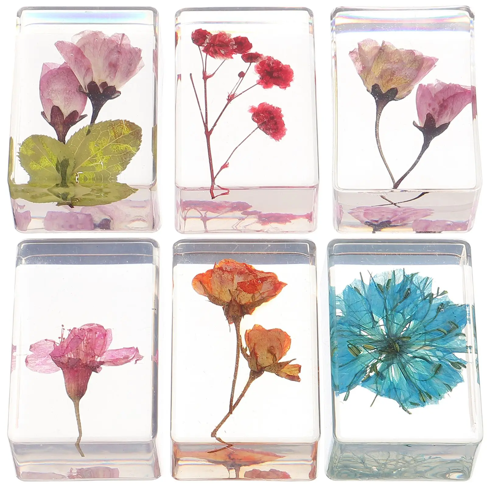 6 Pcs Dried Flower Book Town Resin Amber Specimen Plant Accessories Lightweight Portable Decor Crafts Gifts Teaching Tools