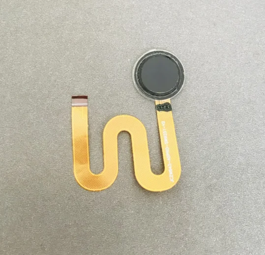 Original Fingerprin…