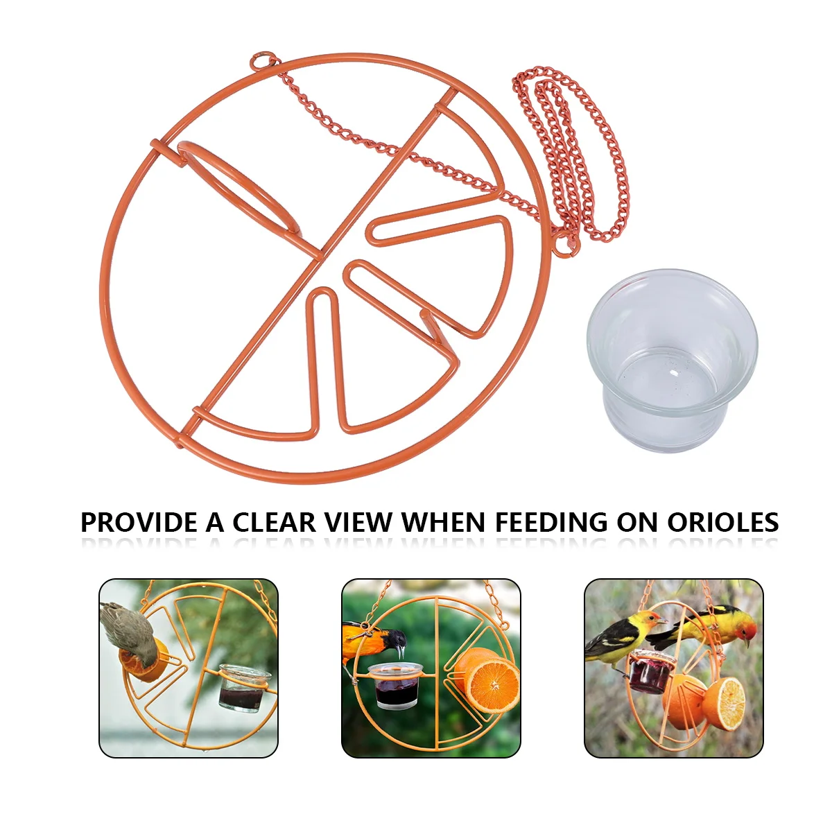 

Bird Feeder Hummingbird Feeding Stand Hanging Design For Canary Parrot Lark Durable Birds Supplies Outdoor Indoor Use Nature