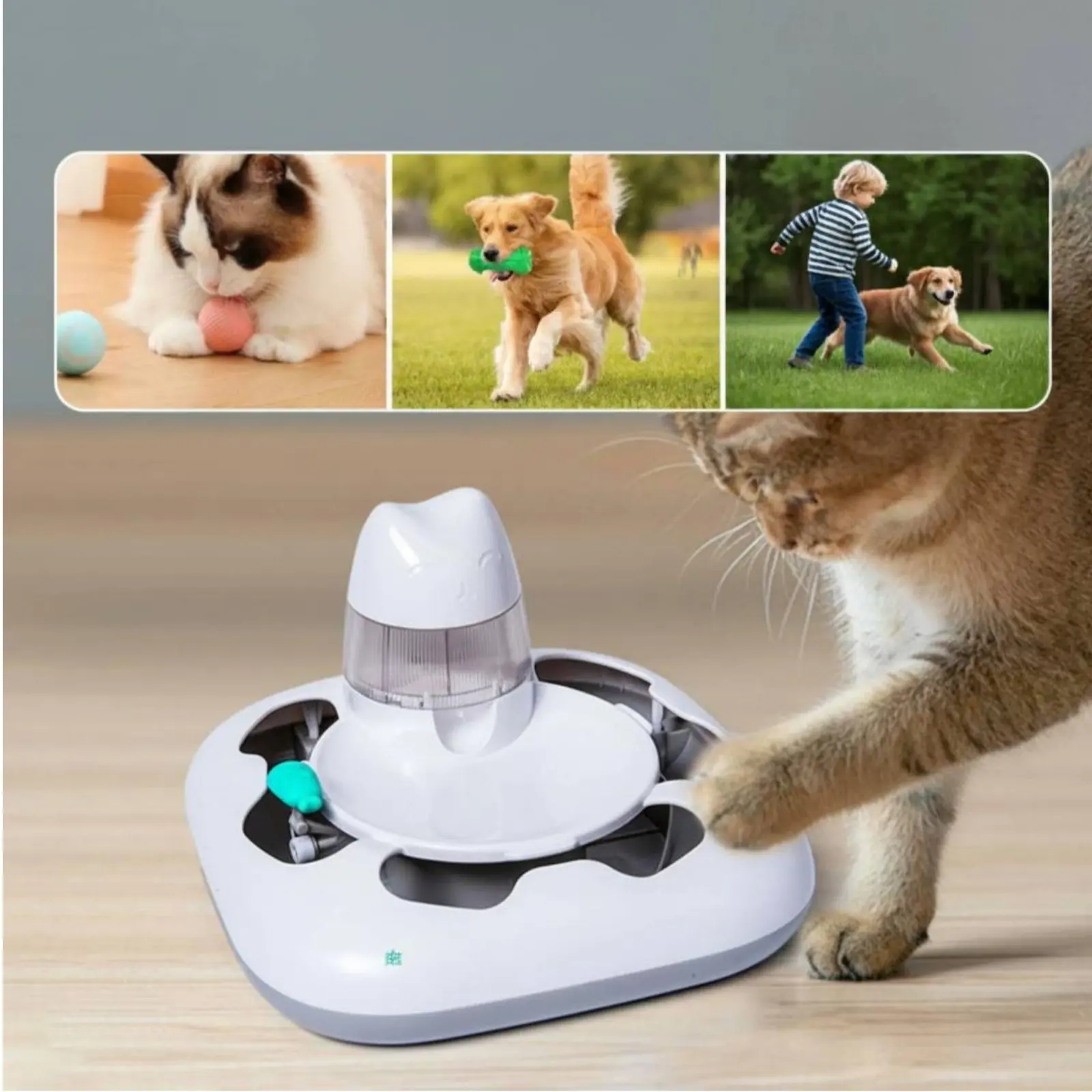 Cat Hunting Game Machine Interactive Play Automatic Cat Toy Electronic Pet Treat Dispenser Random Movement Anti-Rollover Design view 3
