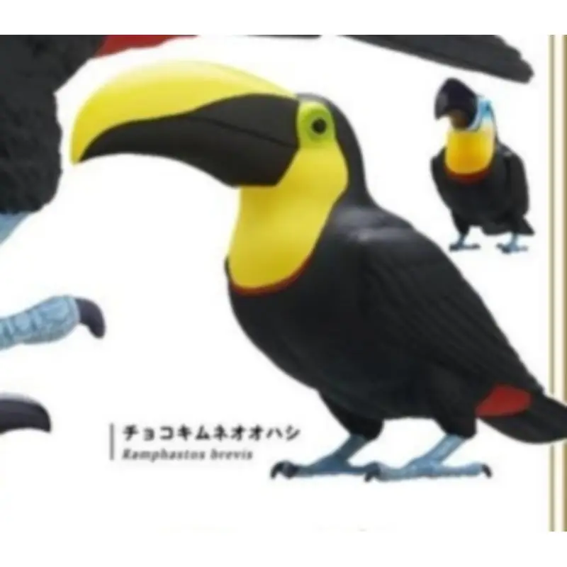 Japan Ikimon Gashapon Capsule Toy Ramphastos Toucan Collection Decoration Standing Position Big Mouth Illustration