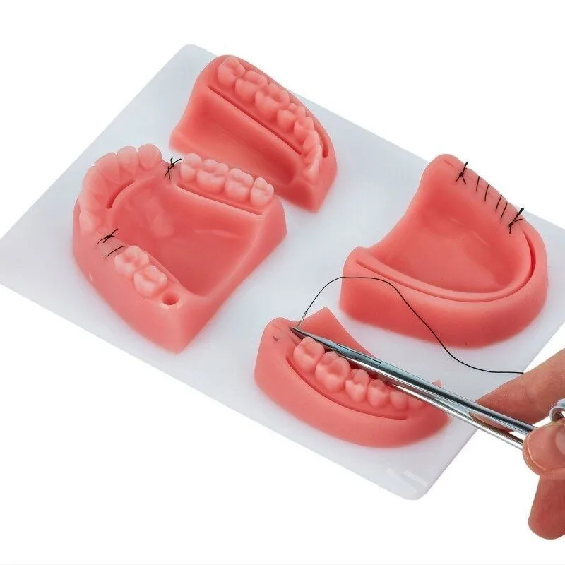 4pcs Oral Suture Model Medical Teaching Simulation Silicone Tooth Module Oral Suture Knotting Training Surgical Suture Practice