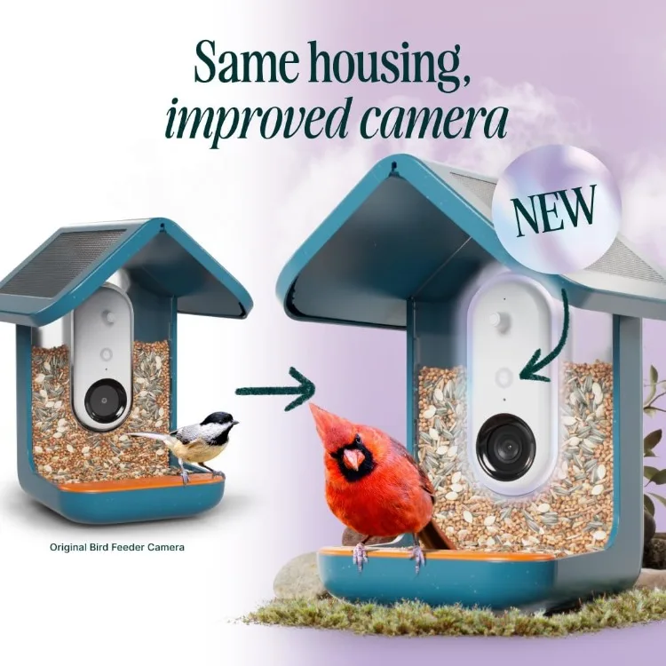 Solar Bird Feeder with Camera - AI Bird Species Identification, 5MP Photos, 2K Ultra Video Live Stream Camera, HDR