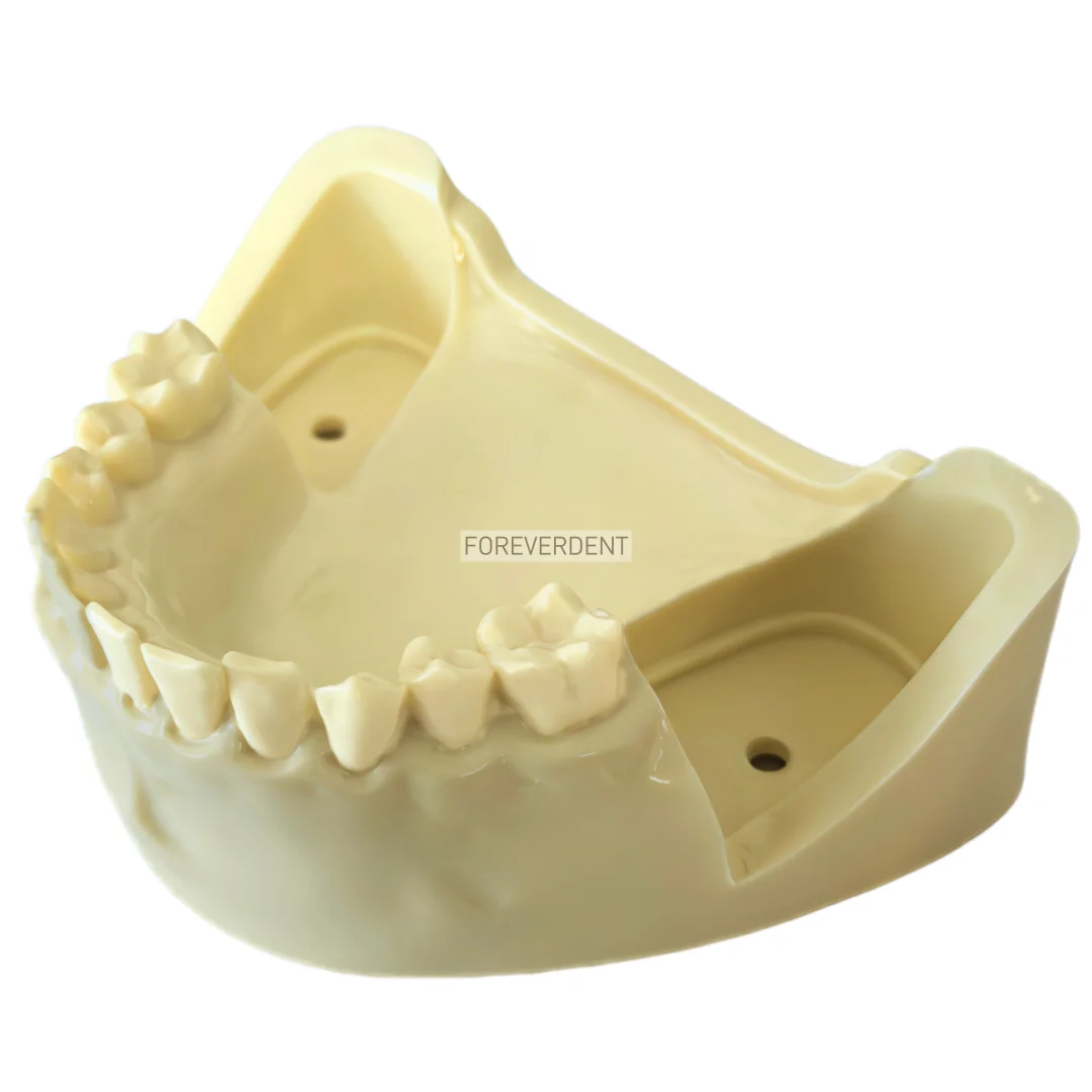 Picture 3: M8026 Impacted Wisdom Tooth Extraction Training Model Dental Tooth Model Oral Teaching Replaceable Base