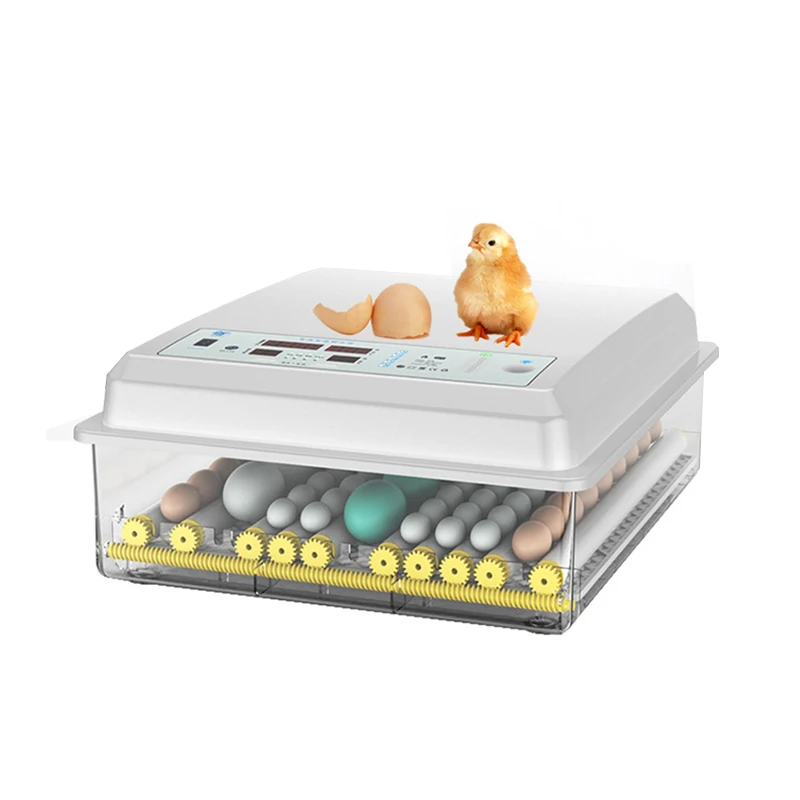 

Capacity 36 Pieces Eggs Smart Fully Automatic Mini Incubator Mini Incubators with Temperature and Humidity Controls