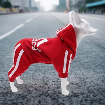 Sporty Dog Jumpsuit Outfit 1