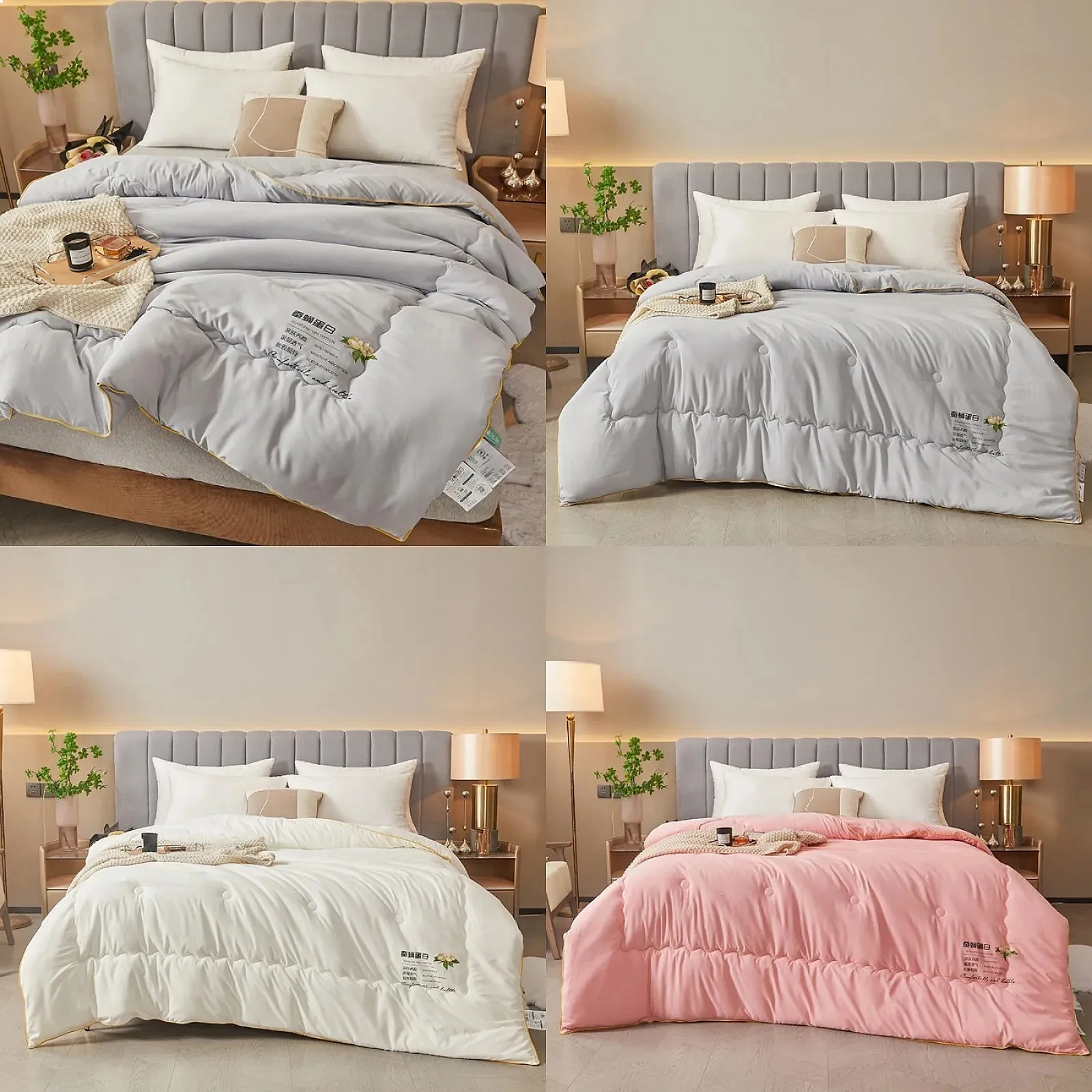 2024 New Class A Skin-Friendly Soft Silk Quilt Core Warm Thickened Winter Quilt Four Seasons Universal Blanket