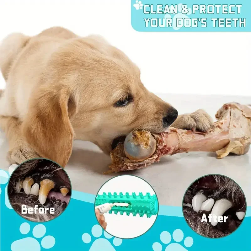 Von Tierarzt zugelassener Zahnaufsatz – 3-in-1 kühlendes Zahnbürstenspielzeug für kleine/mittlere Hunde, sommerliche Zahnreinigungs- und Zahnfleischmassage – Detail 7