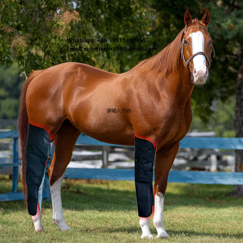 Horses Head Health Care 660nm 850nm Red Therapy Device Near Infrared Red Light Therapy Horse Boots