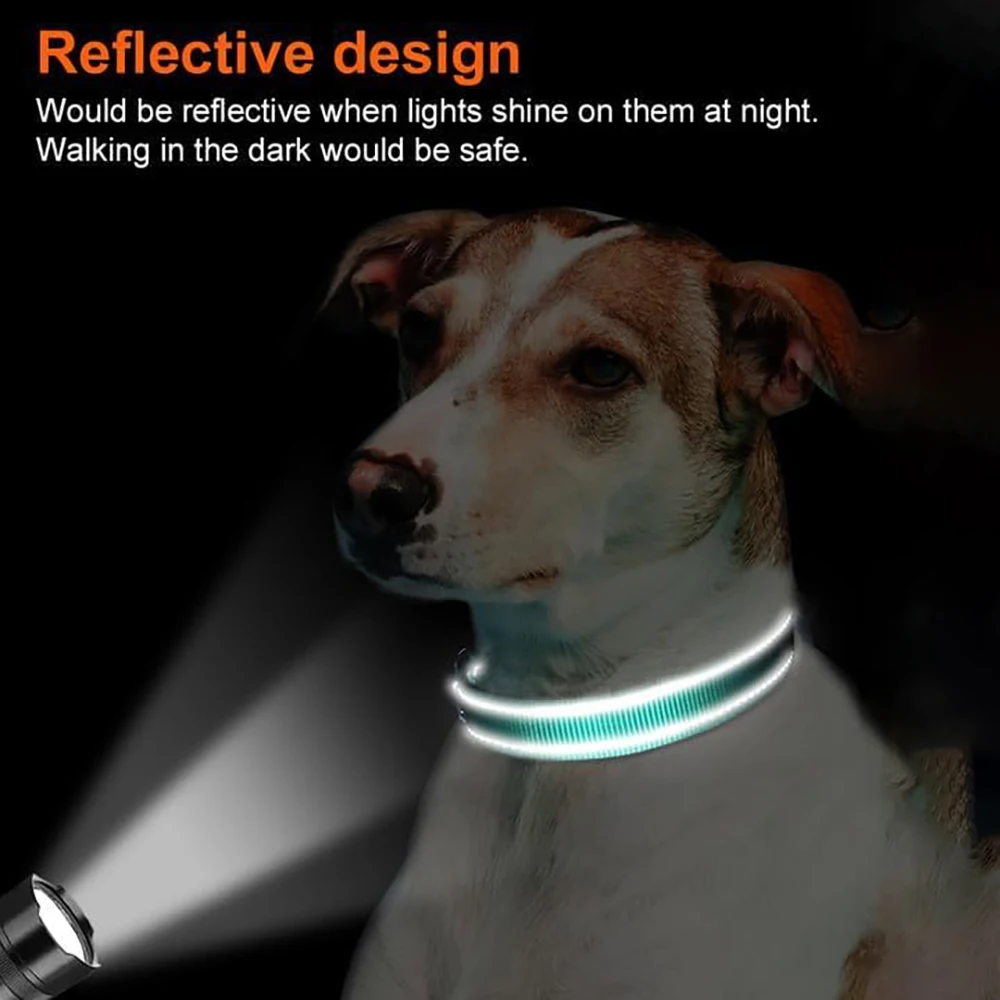 Thumbnail 4 - #58 Best Pet Collars to Buy In 2026