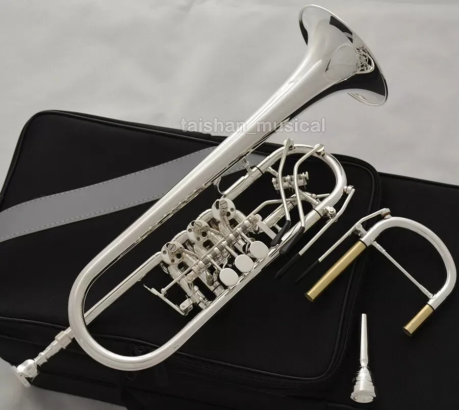 2026 New Profession… - image