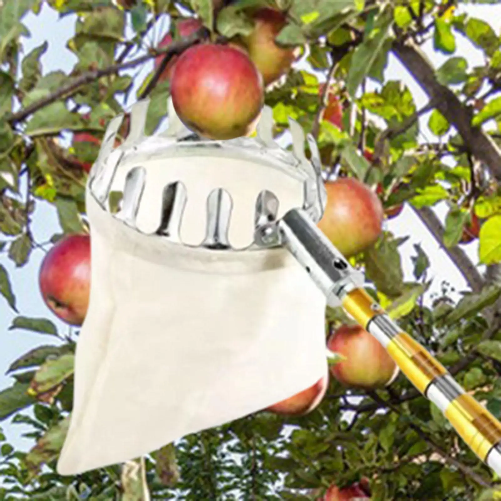 Stainless Steel Fruit Picker Agricultural Hardware Easy to Use Practical Fruit Catcher Bag for Harvest Farm Garden Pear Peach