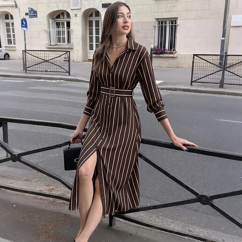 Women's Striped Print Long-Sleeve Shirt Dress Belt Spring Autumn Casual Single Breasted Button Party Office Maxi Dresses Ladies