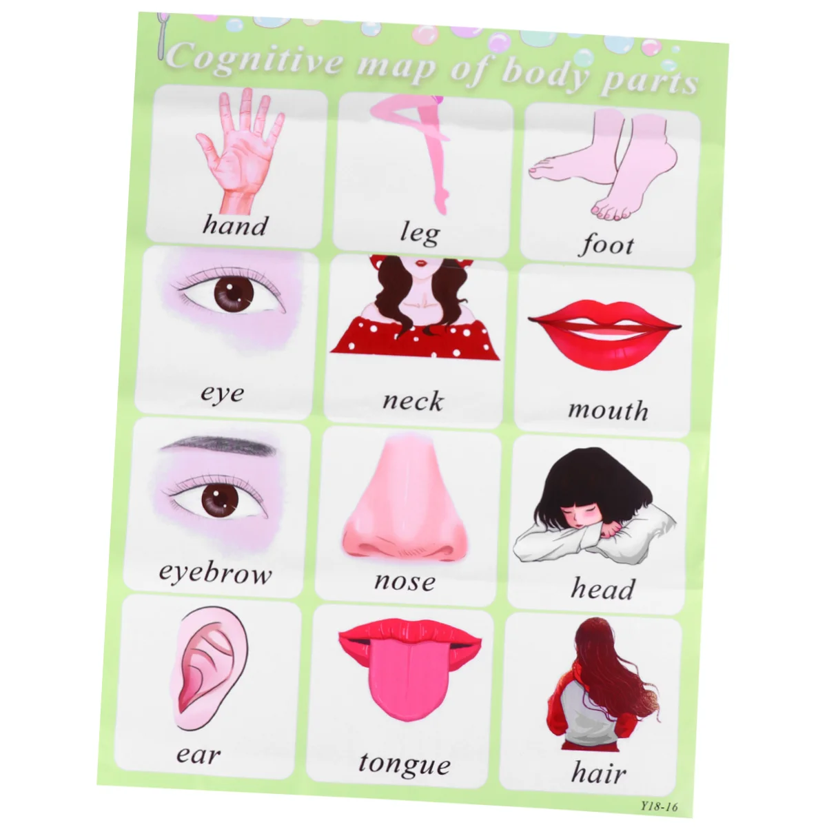 英語単語ウォールチャート 幼児教育ポスター 子供向け早期学習 色認識教育ウォールチャート