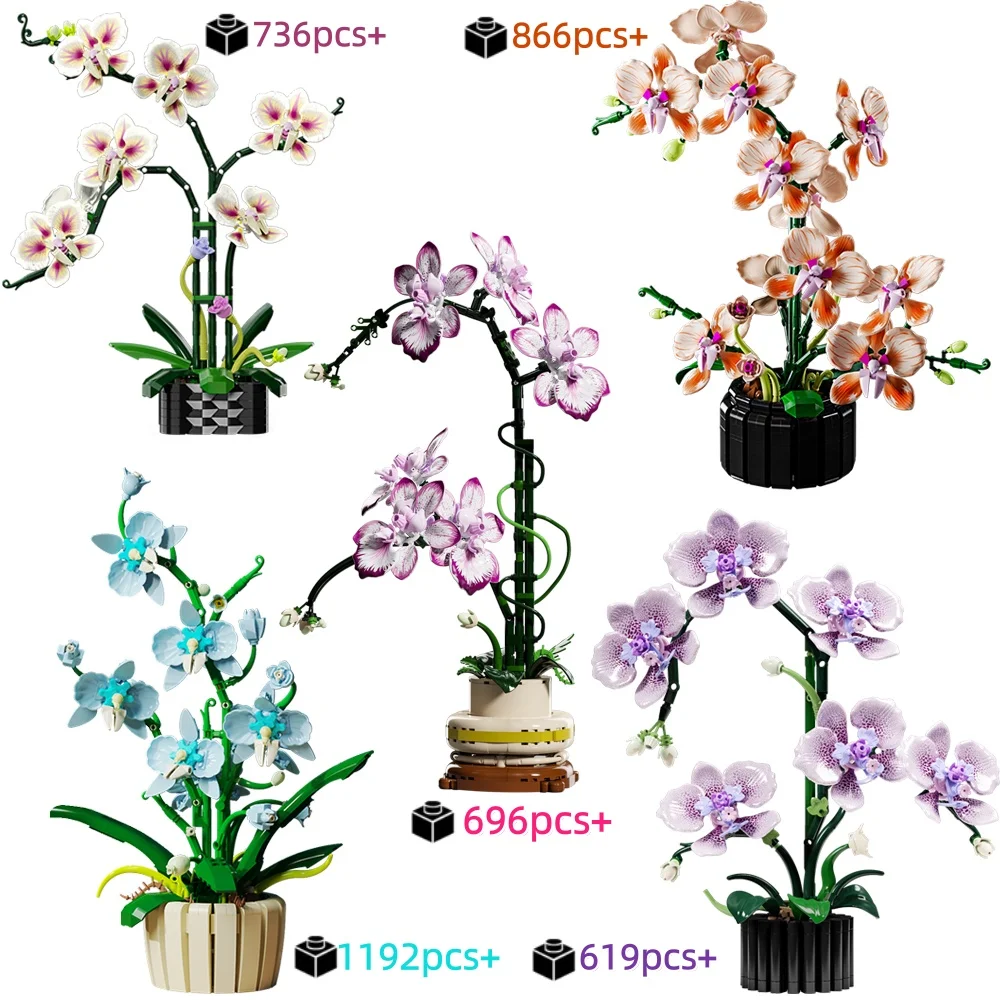 Ensemble d'orchidées créatives MOC, fleurs éternelles en pot, blocs de construction, briques de phalaenopsis à monter soi-même, jouet, cadeau de saint-valentin pour filles et enfants
