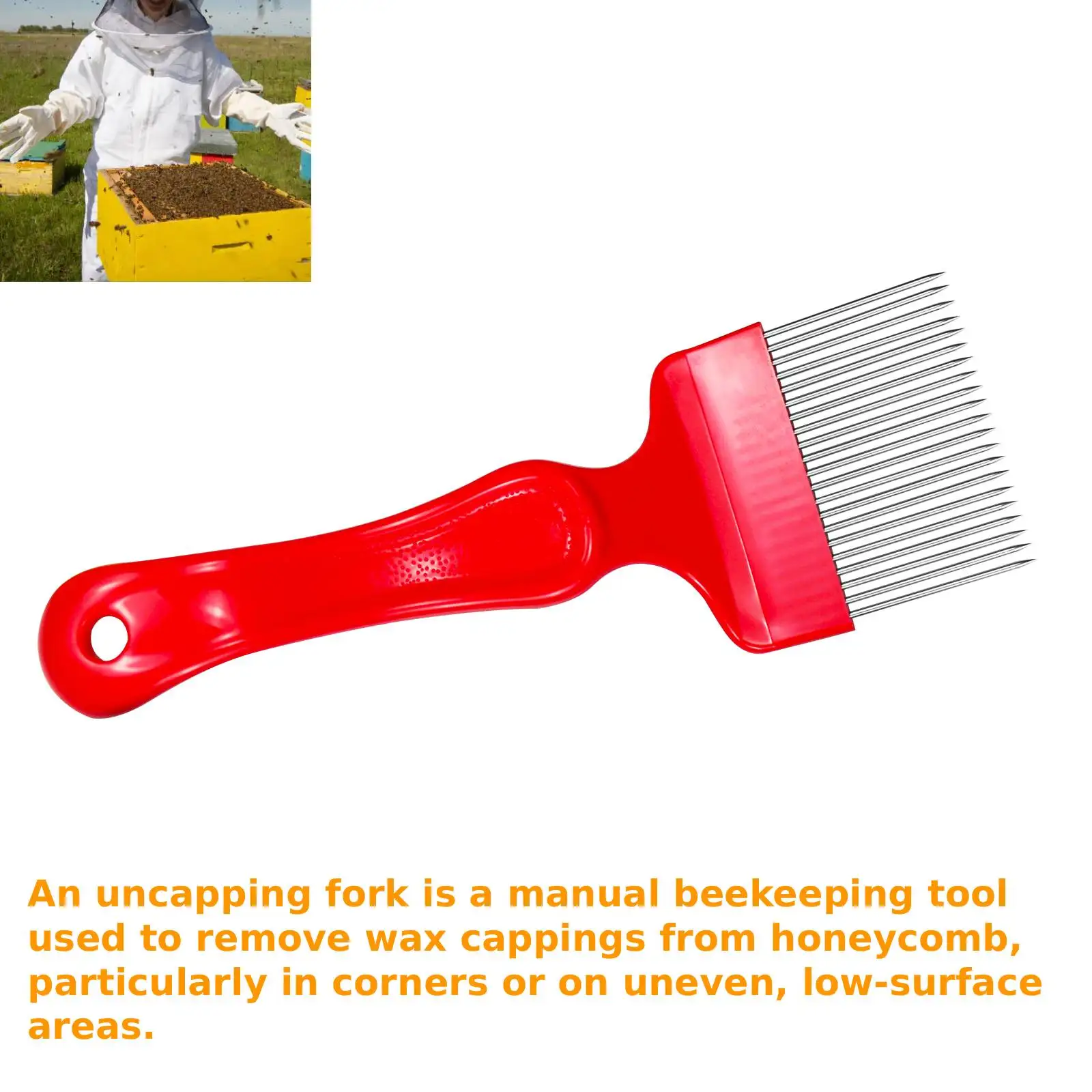 1 PC/ 2pcs / 4 pcs Stainless Steel Honey Uncapping Fork Beekeeping Supplies