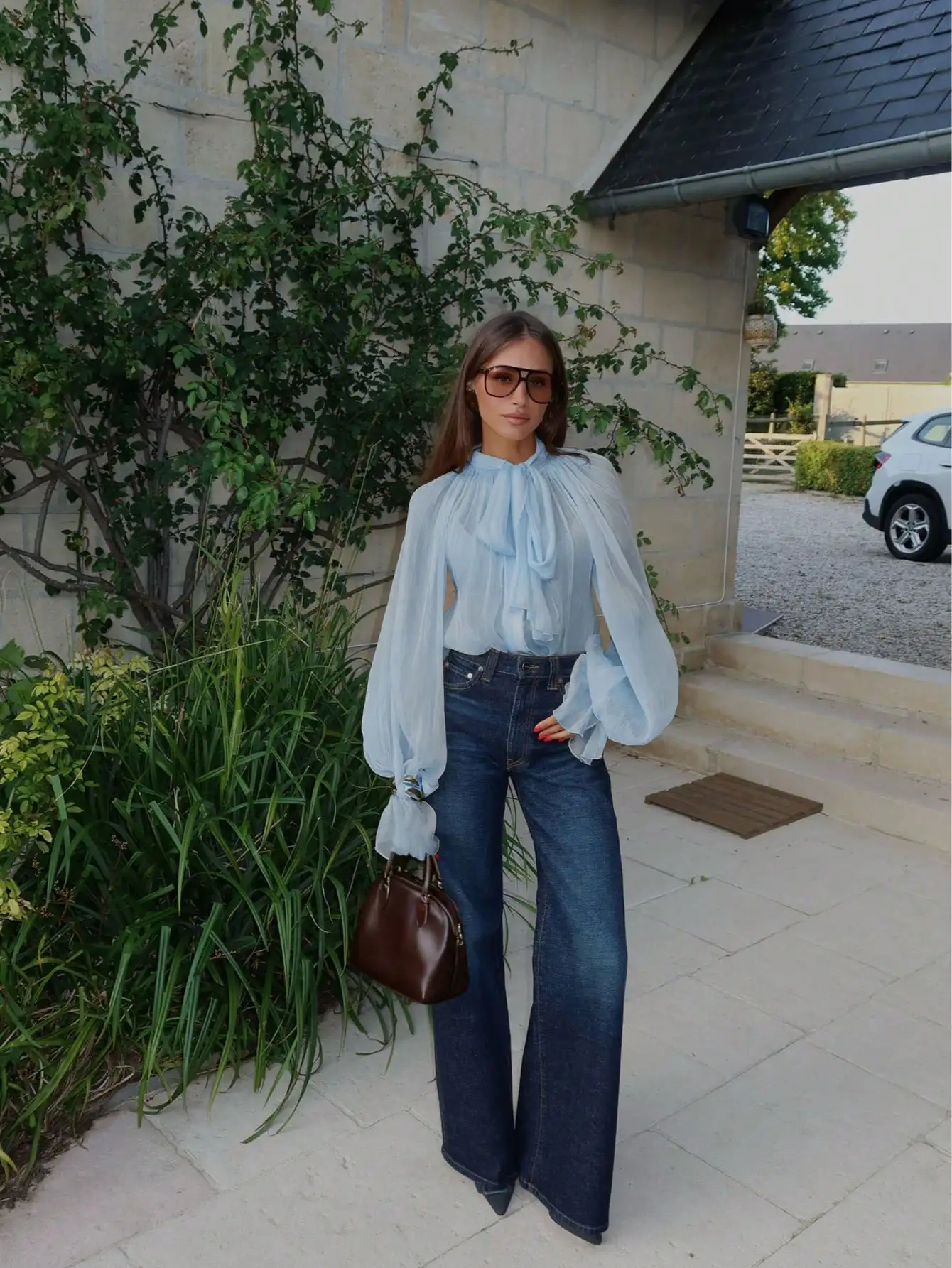

Women's Sheer Long Sleeve Blouse With Ruffle Trim Lantern Sleeves Stand Collar Loose Fit