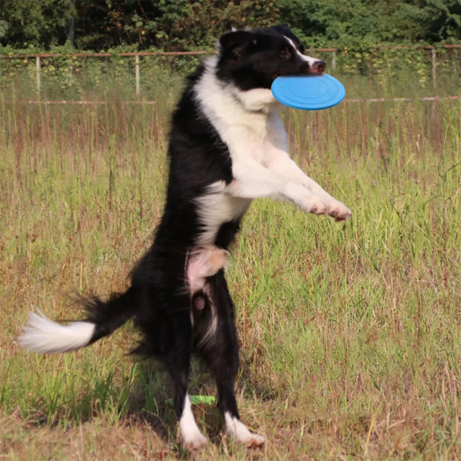 High-quality interactive, durable, and soft silicone floating disc flying dog toy for fast training and unlimited fun play. This