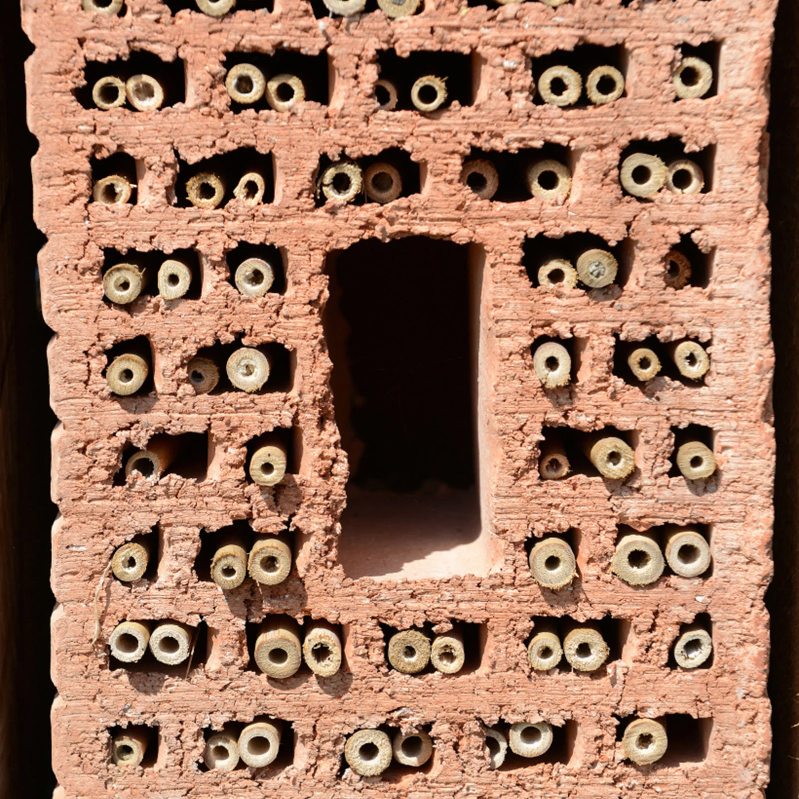 Mason Reeds Honeycomb Tube Bee House Making Materials Insect Stalk Beehive DIY Tubes