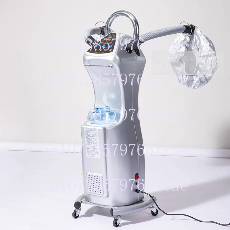 Oil Treatment Machine Steam Engine Hair Salon O3 Active Oxygen Ozone Biochemical Analyzer Barber Shop Home Care Instrument