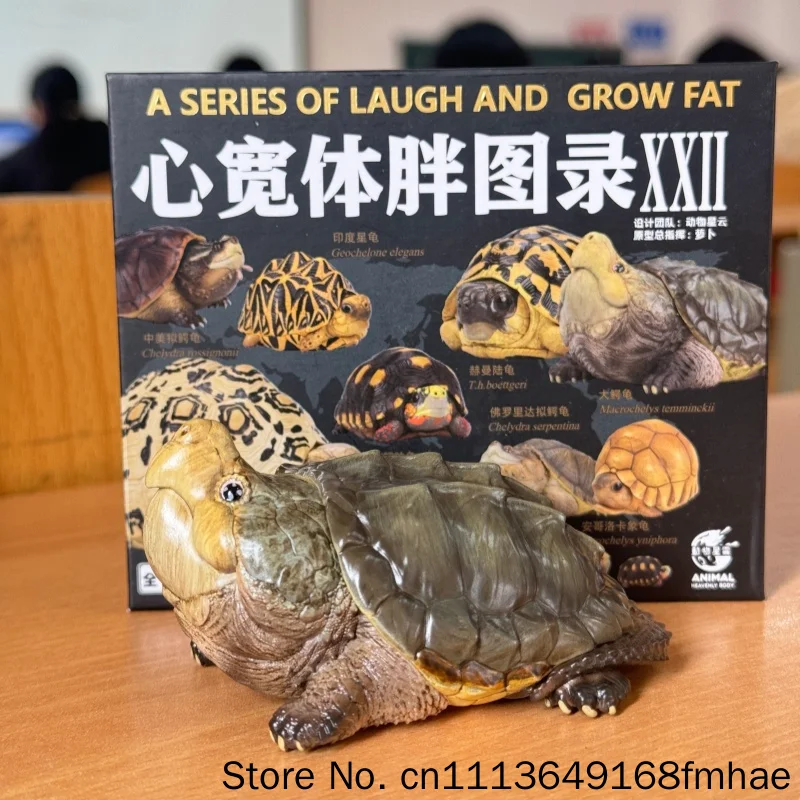 

Animal Heavenly Body Chubby Turtle Collectible Model Realistic Detailed Resin Statue For Adult Collectors Home Desktop Display