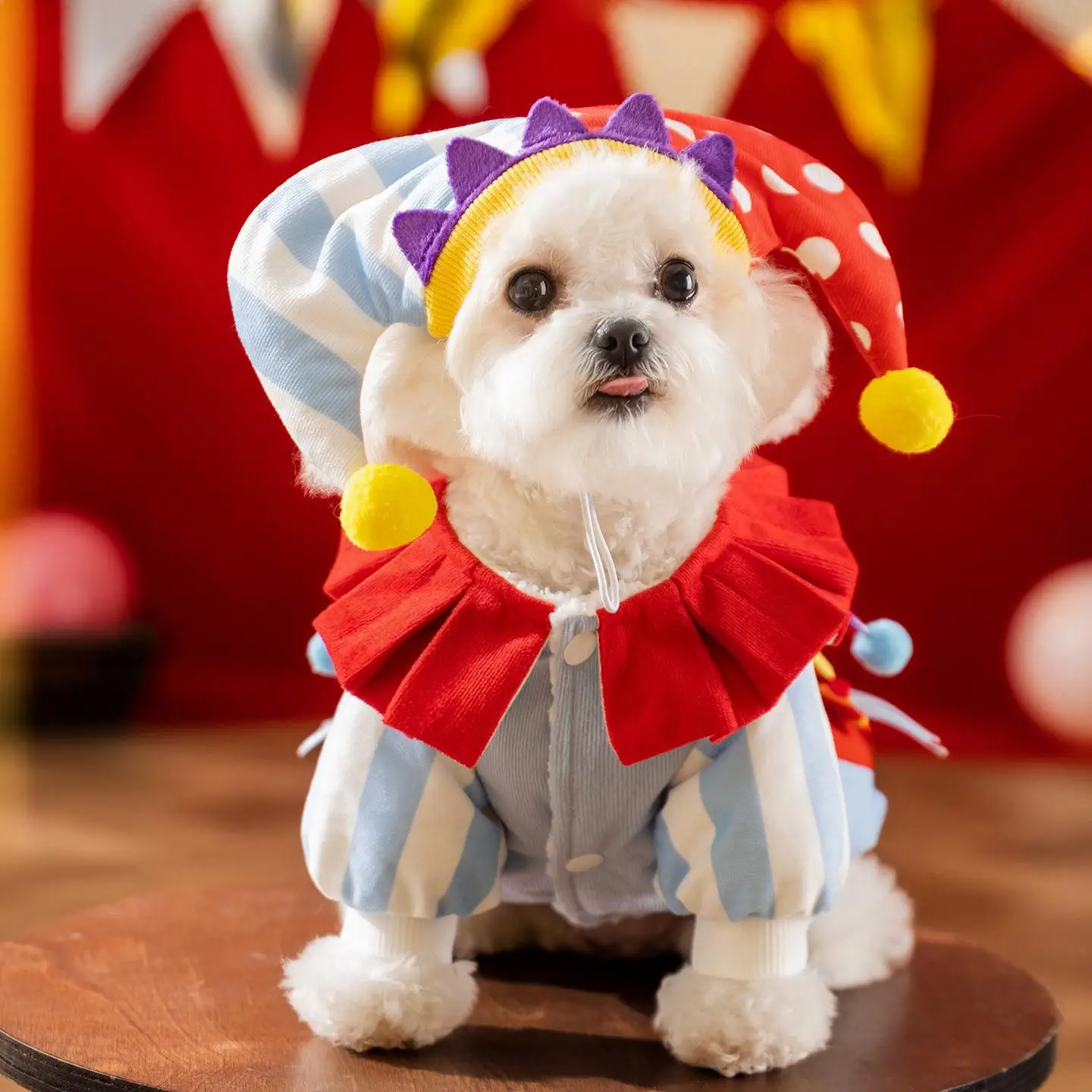 Pet Costume Carnival Clown Hat Two-Piece Knitted Sweater Dog Clothes Christmas Halloween Transformation Outfit Autumn Winter