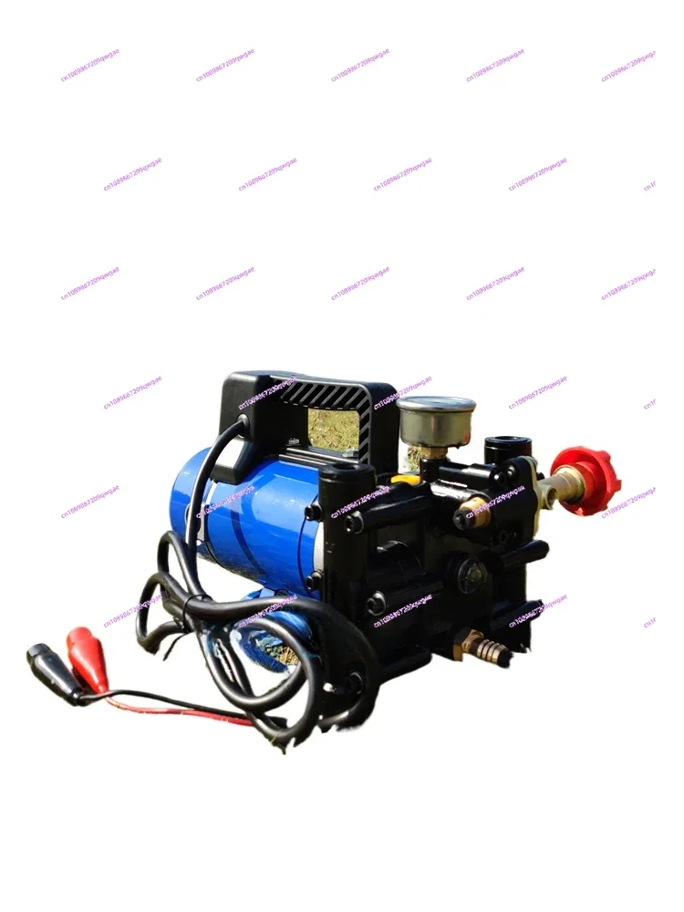 Double Cylinder Plunger Pump Sprayer  12V48V60V220V High Pressure Agricultural Electric