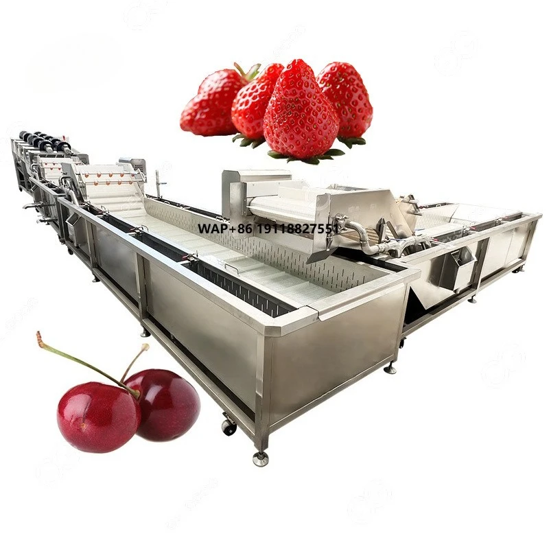 Cherry Fruit Washing Cleaner Processing Line Vegetables Cleaning and Packing Machine to Wash and Pack Vegetable
