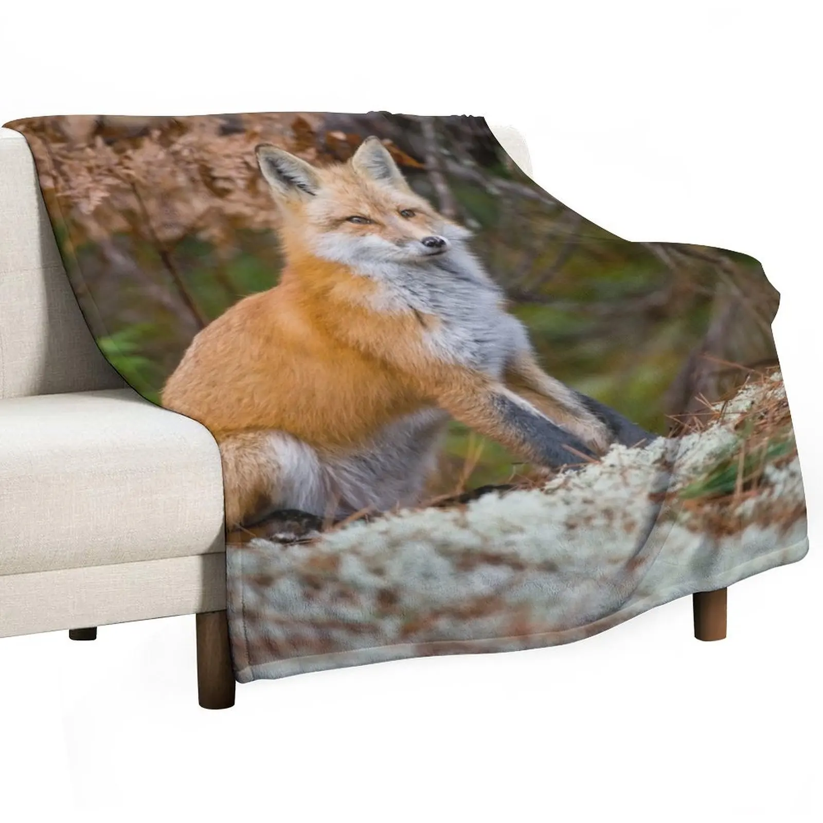 

Red Fox Throw Blanket Travel Decorative Throw Nap Thermals For Travel Blankets
