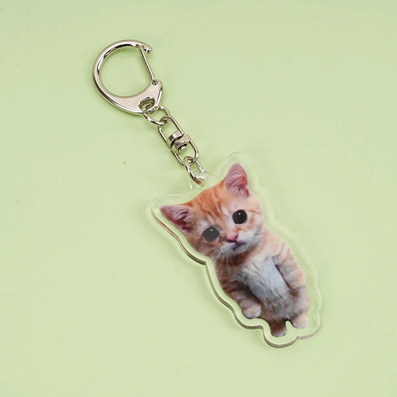 Funny Cat Memes Series Keychain Student Gift Bag Lanyard Women's Bag Pendant Keychain Cute Things Cheap Gift For Best Friends