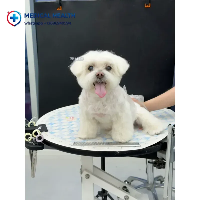 Anti-Slip Eco-Friendly Stainless Steel Desktop Air Lift Mitts & Rollers for Dogs High Quality Pneumatic