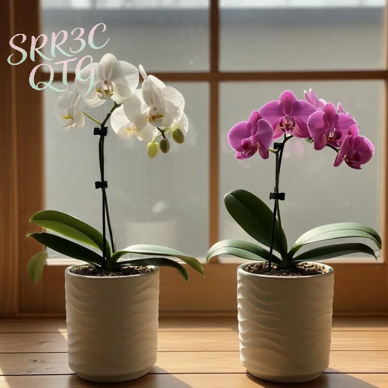 Hot Simple Wave Shaped Faux Ceramic-look Flowerpots Are Suitable For Home Décor Orchids And Other Green Plants