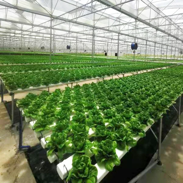 Hydroponic Growing System PVC Nft Channel Pipe Greenhouse Farm Hydroponic Growing Kit Vertical Tower Growing System