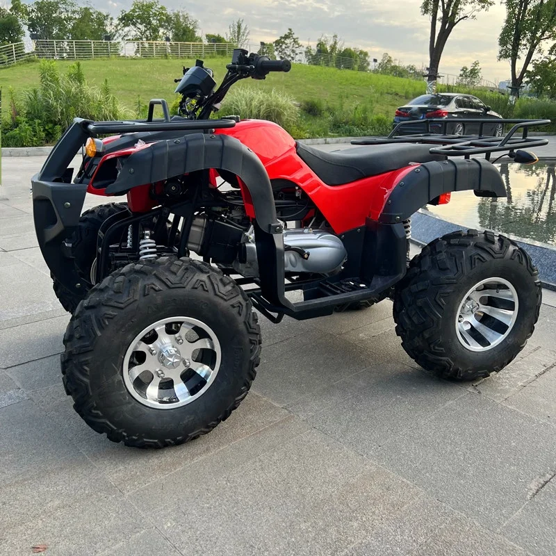 4 Stroke 4 Wheeler Automatic 200cc Chain Drive 2WD Quad Bike ATV for Adults