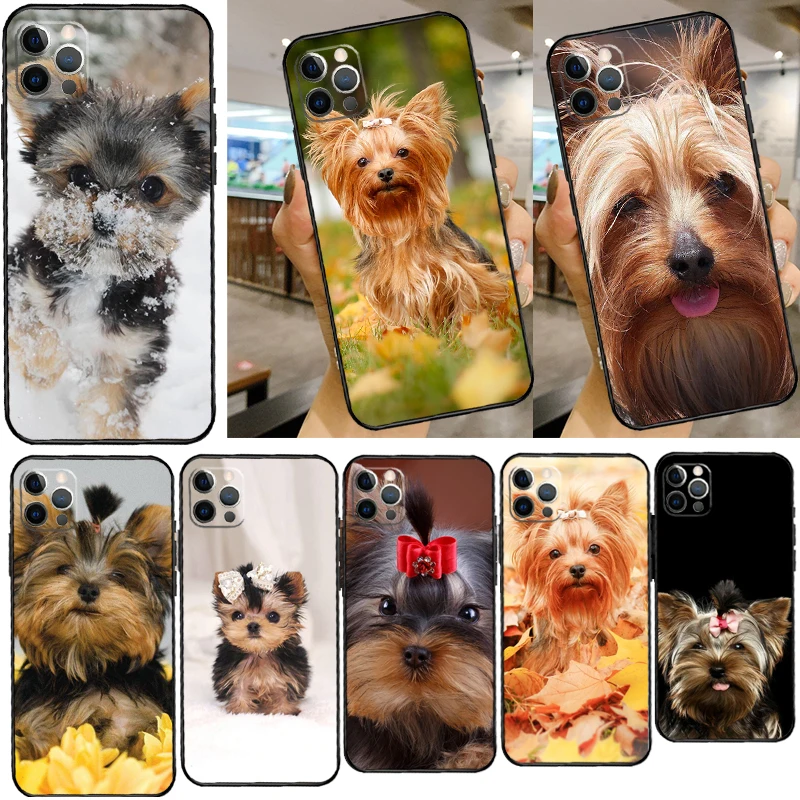 Mini Yorkshire Terrier Phone Case For iPhone 14 13 12 Mini 11 Pro Max SE 2020 6 7 8 Plus X XS Max XR Cover Shell