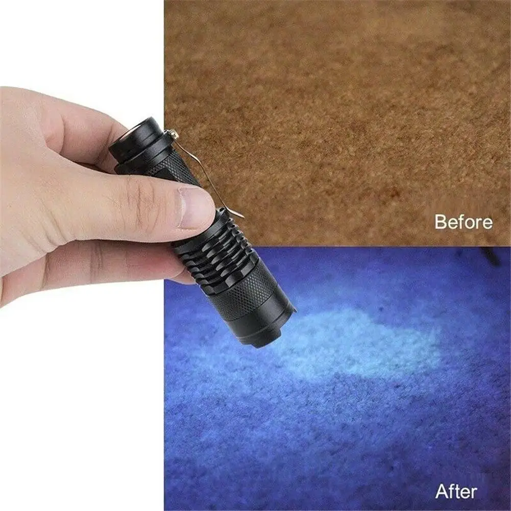 LED UV Flashlight Ultraviolet Torch Magnified Ultraviolet Beam Animal Urine Stains Testing Purple Light Lamp