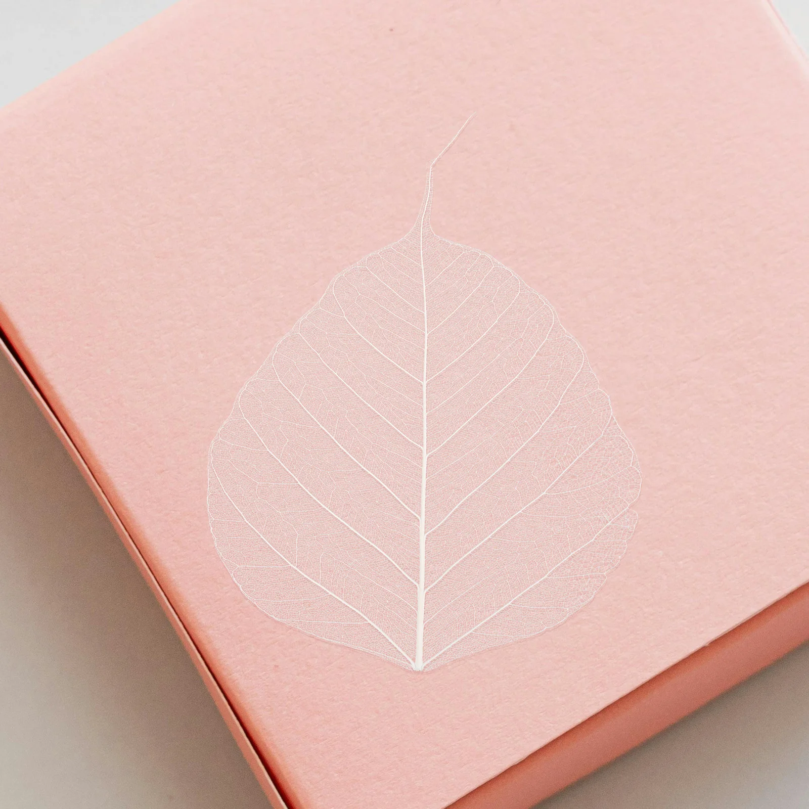 

20pcs Leaf Vein Bookmarks Materials Diy Dried Leaves Natural Rubber Specimen For Greeting Cards Scrapbook Wedding