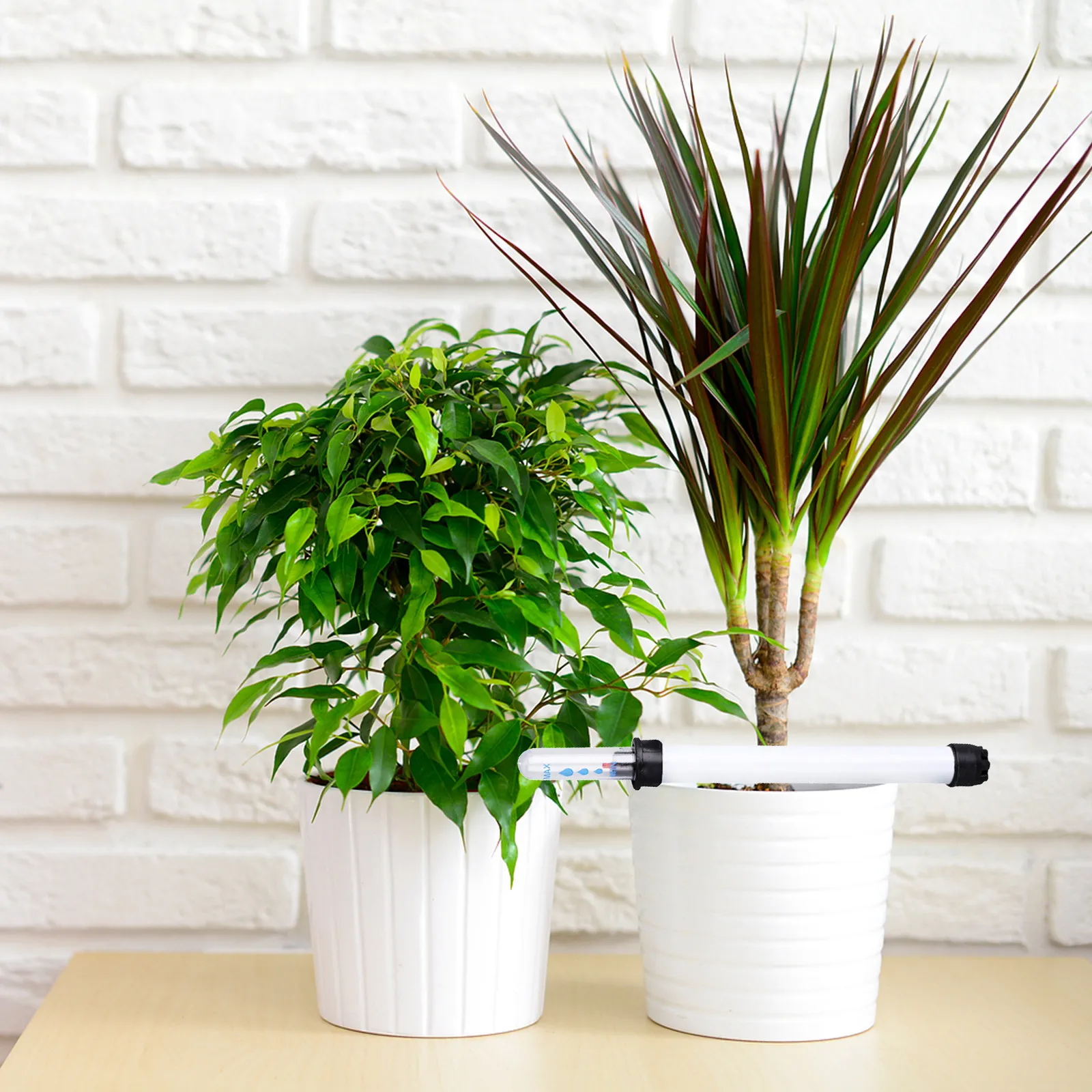 2 Pcs Plants Liquid Level Meter Pot Water Gauge Indicator Flower Indicators Flowerpot Moisture