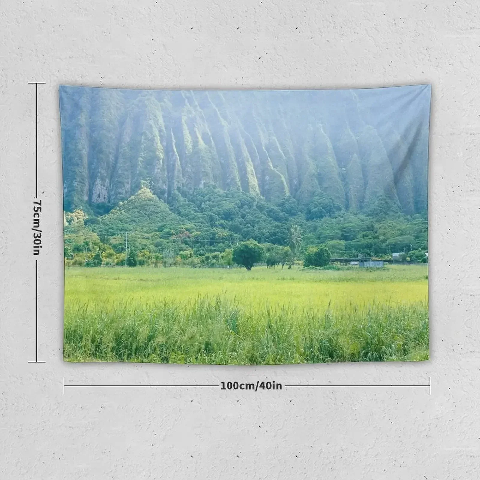 Ko?olau Range on Hawaii (Oahu) Tapestry Decor For Bedroom For Bedroom Tapestry