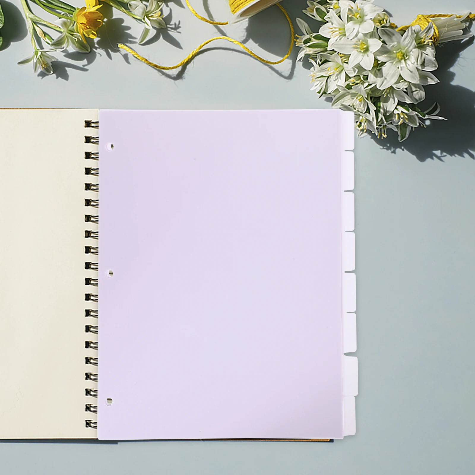 

8pcs Colored PP Partition Plate Aesthetic Page Markers Tag Binder Dividers Clear Office Notepad for Notebook