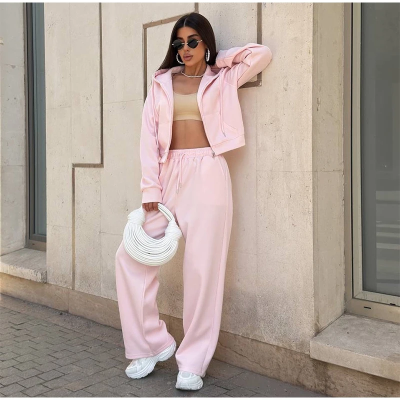 Autumn Office Commute Outfit Zipper Hooded Long Sleeves Sets Women's Casual Straight Wide Leg Long Pants Suit