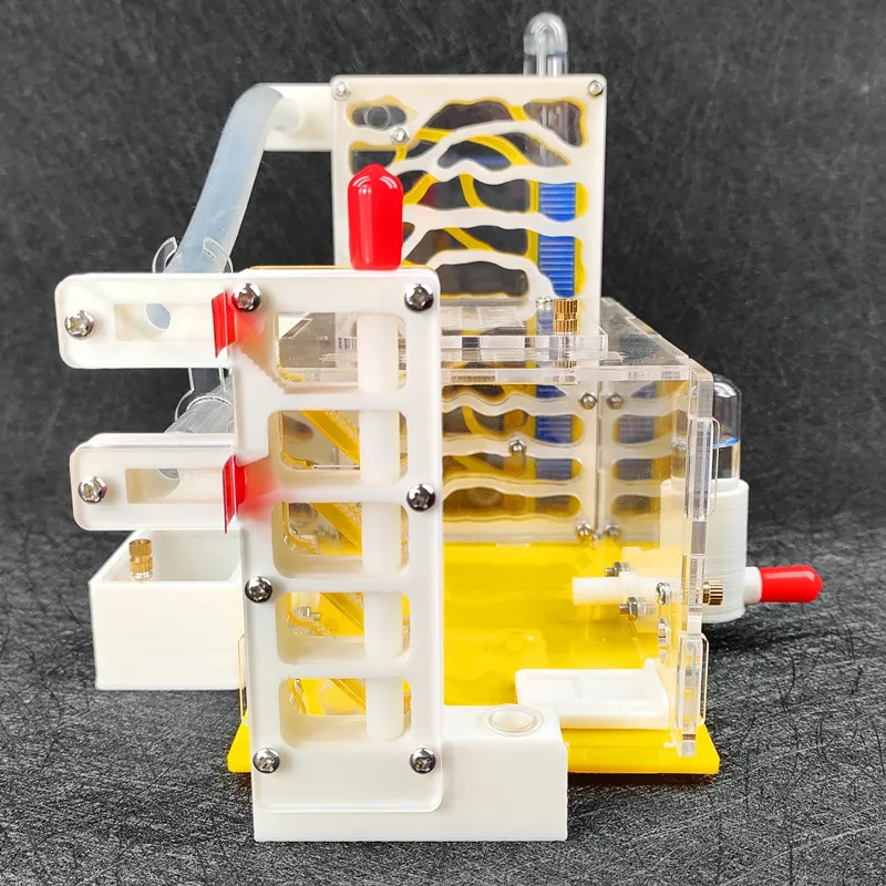 Gabbia per insetti in acrilico nido per formiche nido per formiche fai-da-te con Area di alimentazione 3D-B1 Ant Villa Farm Pets Mania per formiche di casa antille per insetti