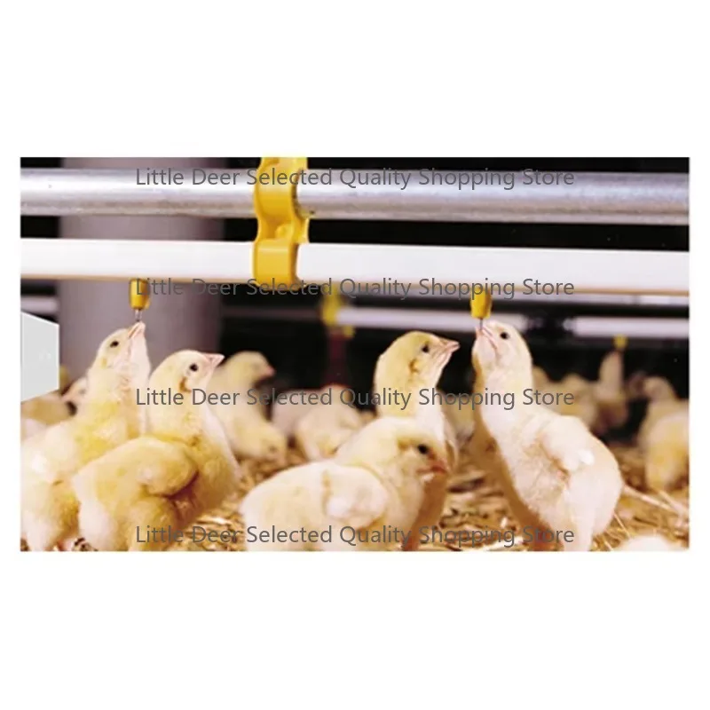 

New Chicken Automatic Drinkers and Feeders Nipple Drinking Line Chicken Automatic Drinker Sets