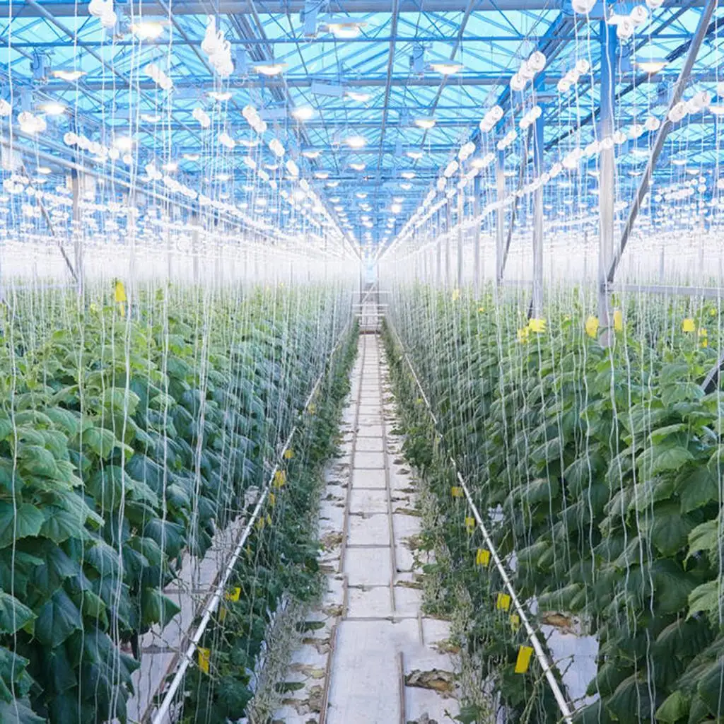 2pcs Rollerhook +Twine Roller/Spool Greenhouse with 15m Rope