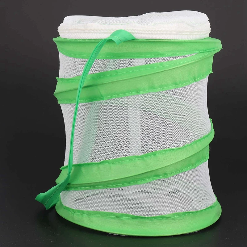 3X tongkat Mantis kecil, kandang kupu-kupu kupu-kupu