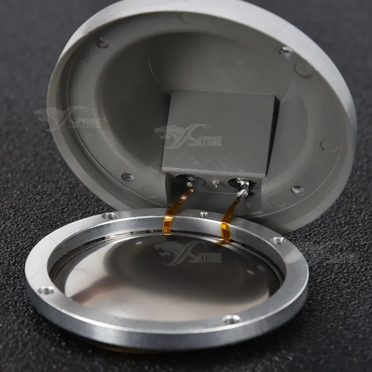 قطعة واحدة 2431H HF مكبر الصوت Pa وحدة تشغيل النيوديميوم