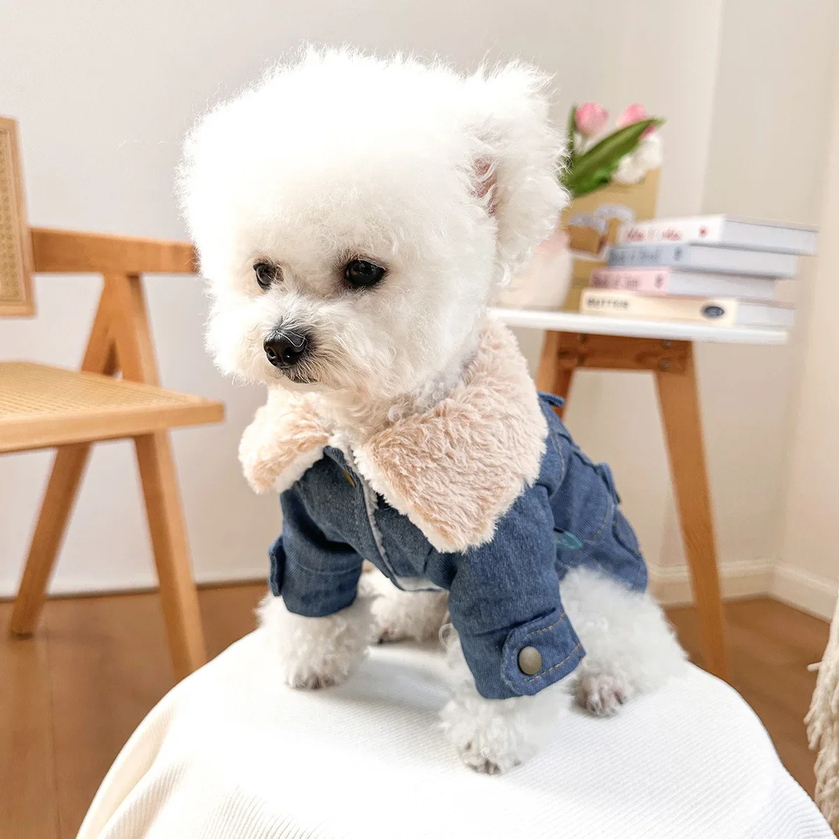 Winter New Cashmere and Thick Denim Cotton-padded Pet Clothing Can Pull Fashion Fur Collar Dog Clothes