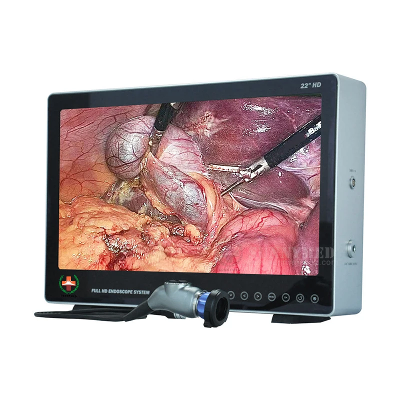 1080p full hd Endoscope  System cystoscope hysteroscopy ent For Surgical Anatomy training medical science school