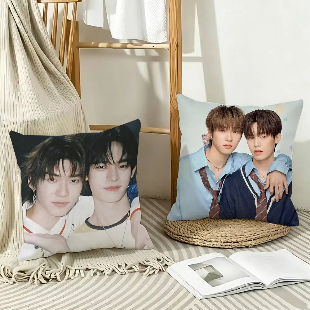 

TeeTee B-BL-TV D-Duang With You Pillow Case Pattern Printed Pillowcase For Living Room Sofa Cushion Cover