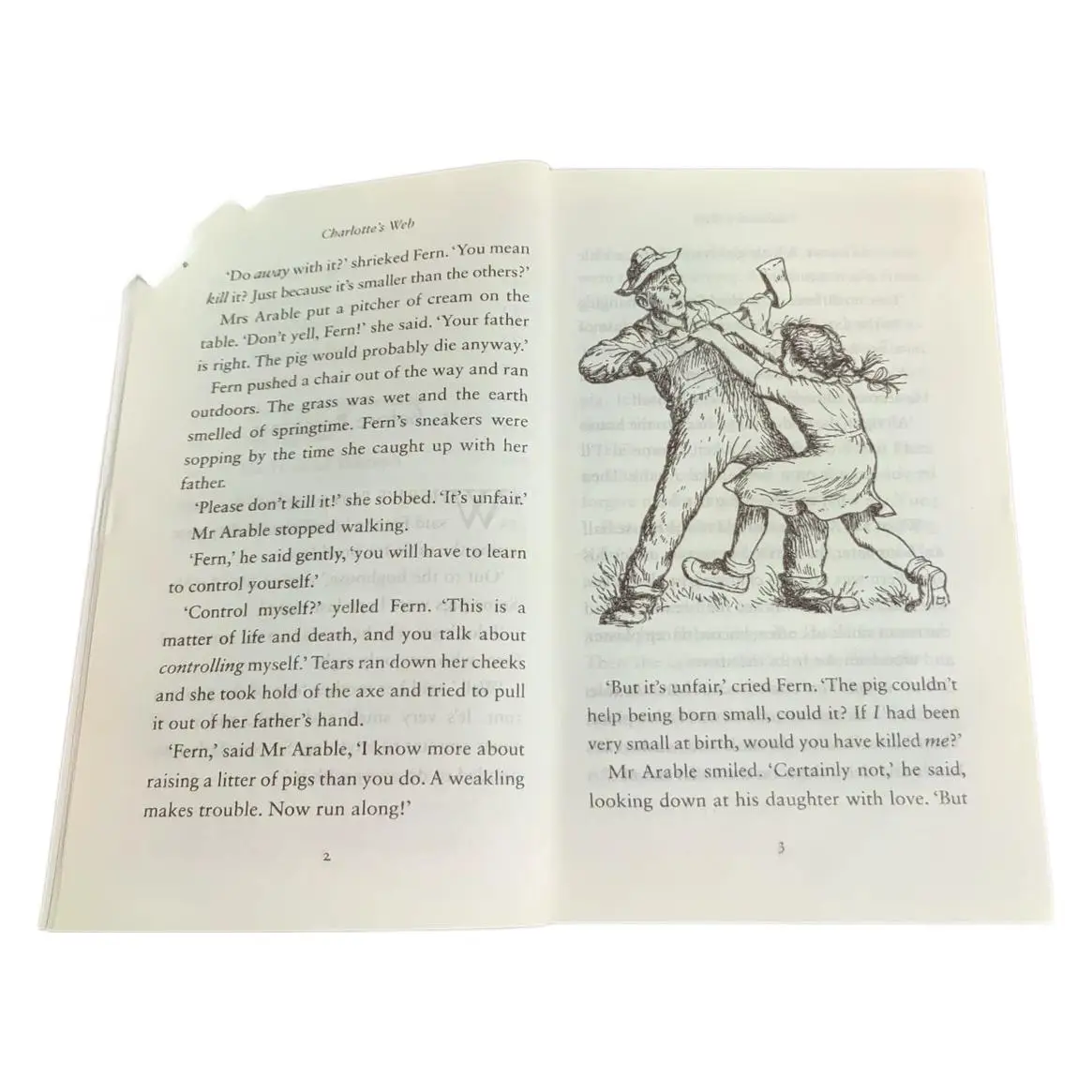 【Newbery】Charlotte's Web Englische Ausgabe